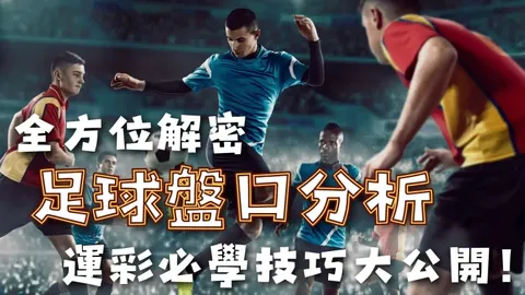 库库雷利亚：全面赋能球队，追求持久卓越